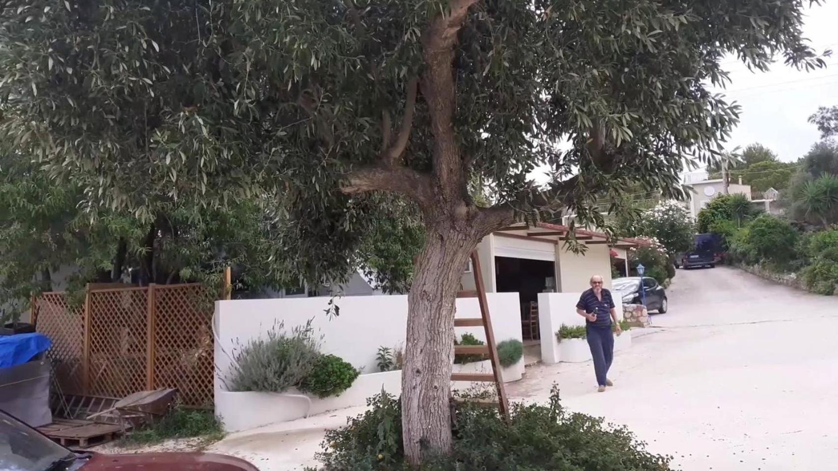 Tzogias Apartments Nonna Studio Lassi  Dış mekan fotoğraf