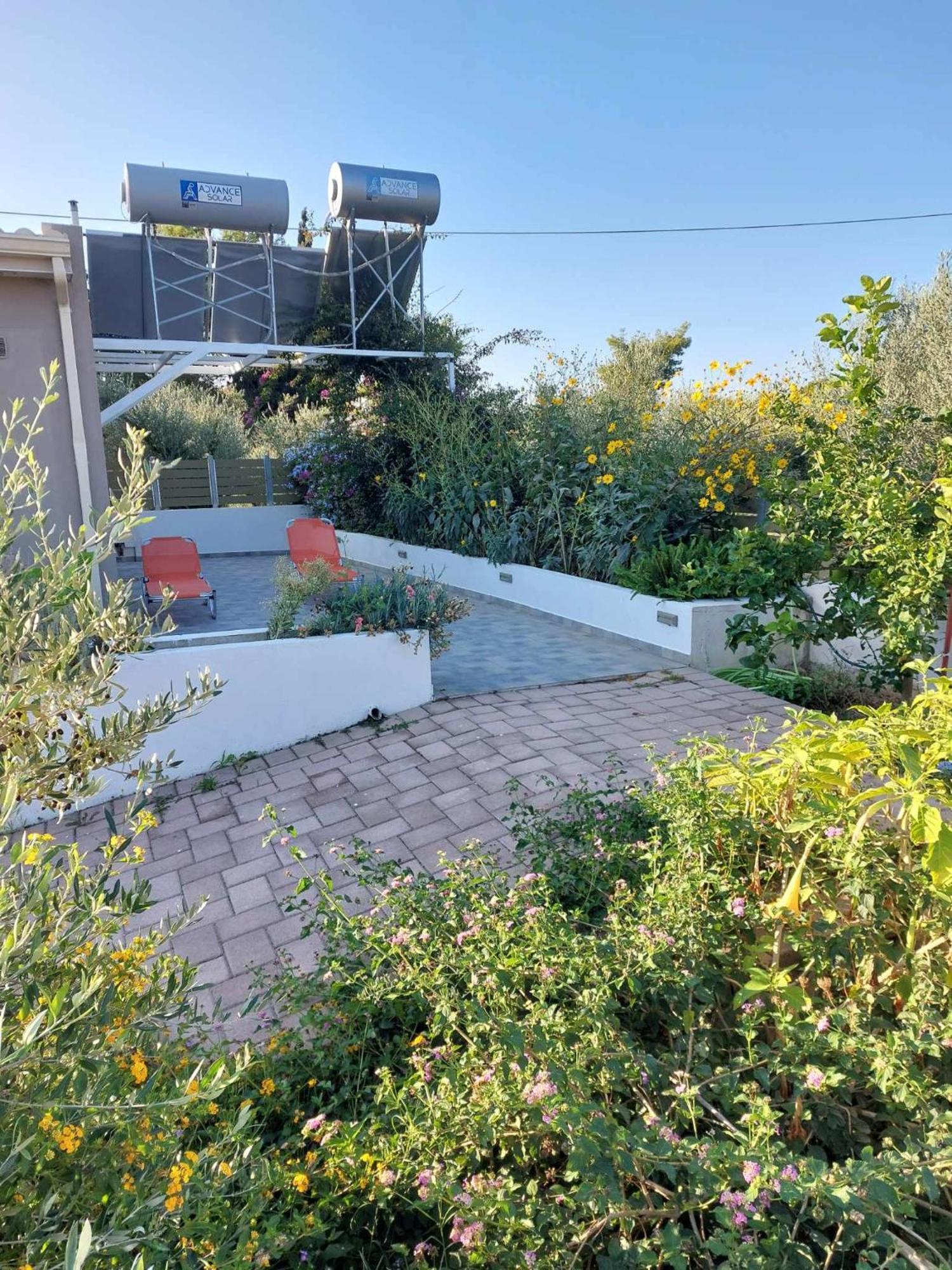 Tzogias Apartments Nonna Studio Lassi  Dış mekan fotoğraf